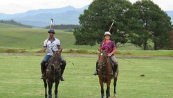 Absolute Polo-安德堡必去景点