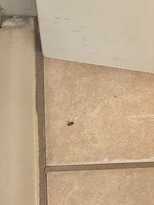 Comfort Suites Nacogdoches主图