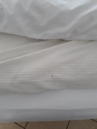 The Sunset Cove & Rainbow Room主图