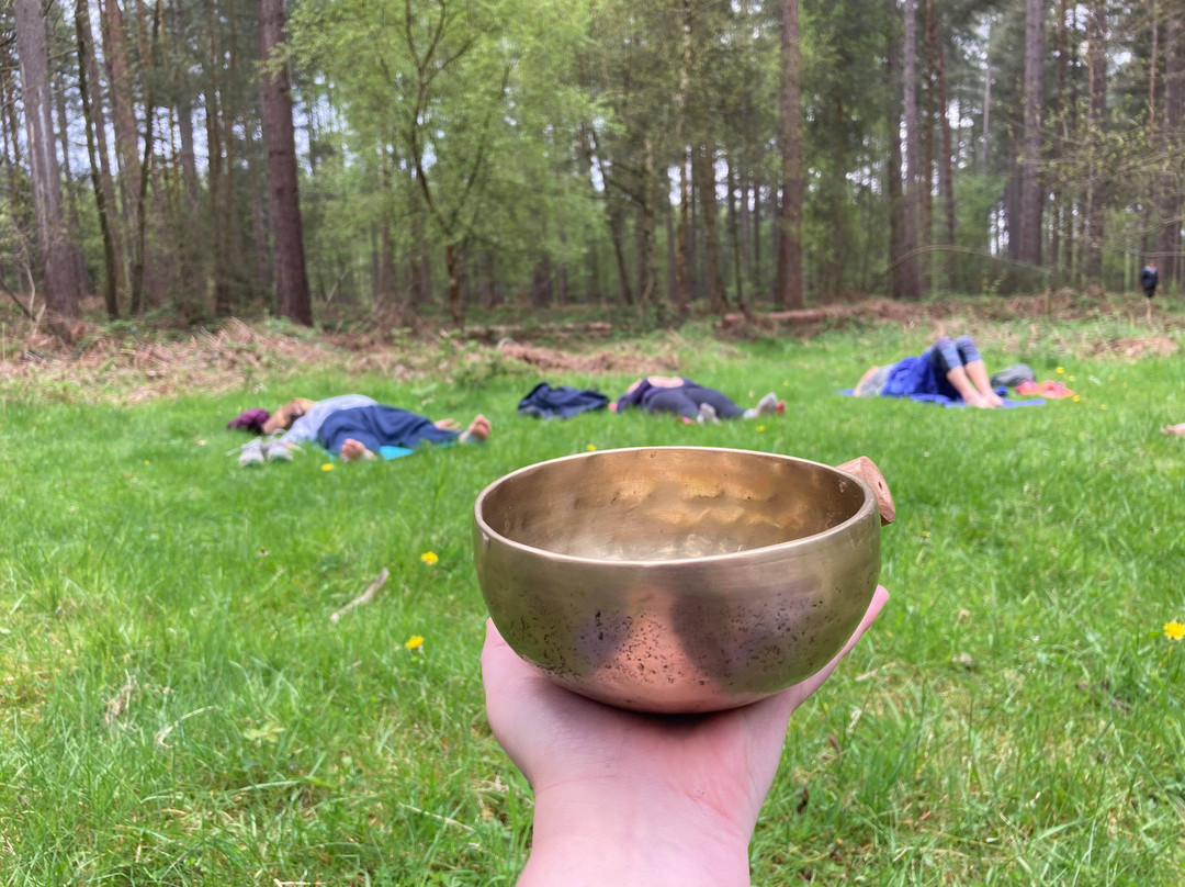 The Humble Warrior Yoga Experiences-Edwinstowe必去景点