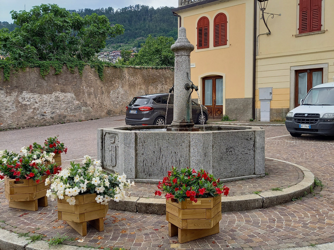 Bar Piazza Vecchia景点图片