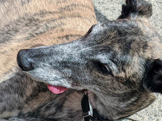 The Taverna Bar-Rothesay必去景点