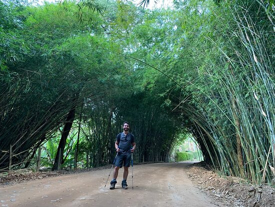 M'Guia-Maria da Fe必去景点