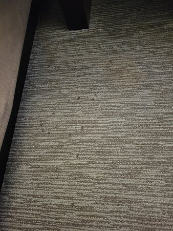 Doubletree By Hilton Chicago Wood Dale - Elk Grove主图