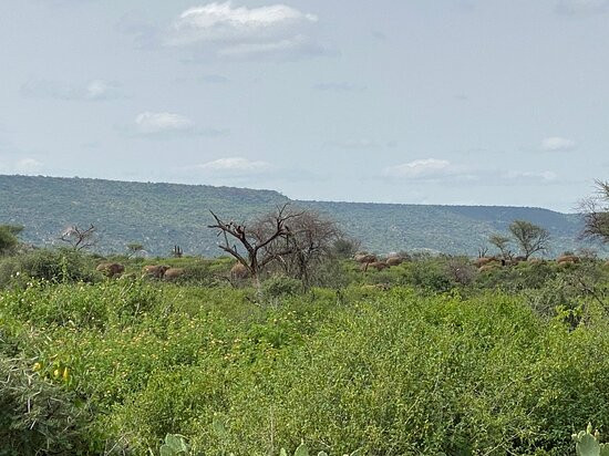 Harar Jegol Wall景点图片