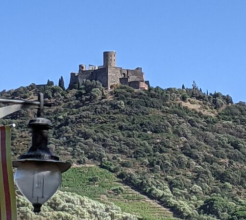 Fort Saint-Elme-科利乌尔必去景点