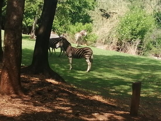 Hennops Pride Caravan Park-兰西利亚必去景点