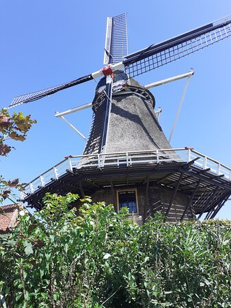 Molen 'de Zwaluw' (1784)-Hasselt必去景点