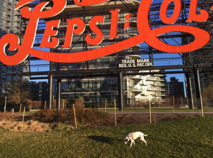 Pepsi Cola Sign-长岛市必去景点