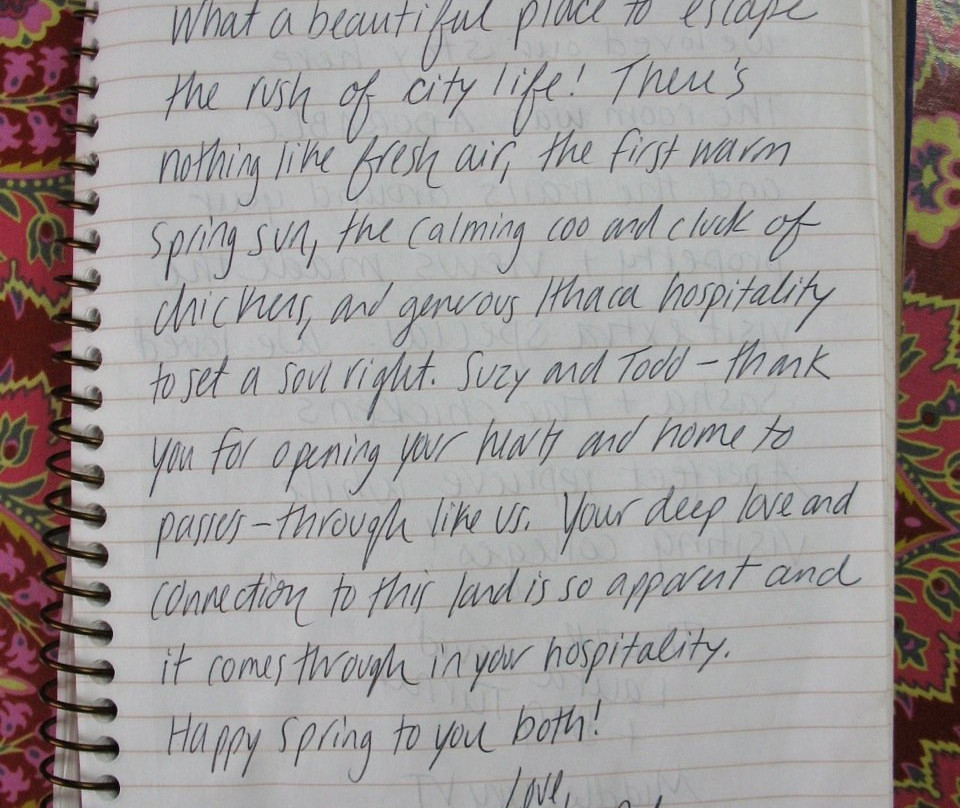 Dreaming Roses Eco-B&B主图