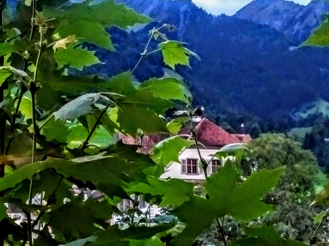 Gasthaus Engel主图