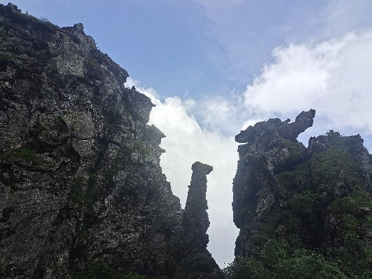 阿尔卡迪亚森林酒店主图