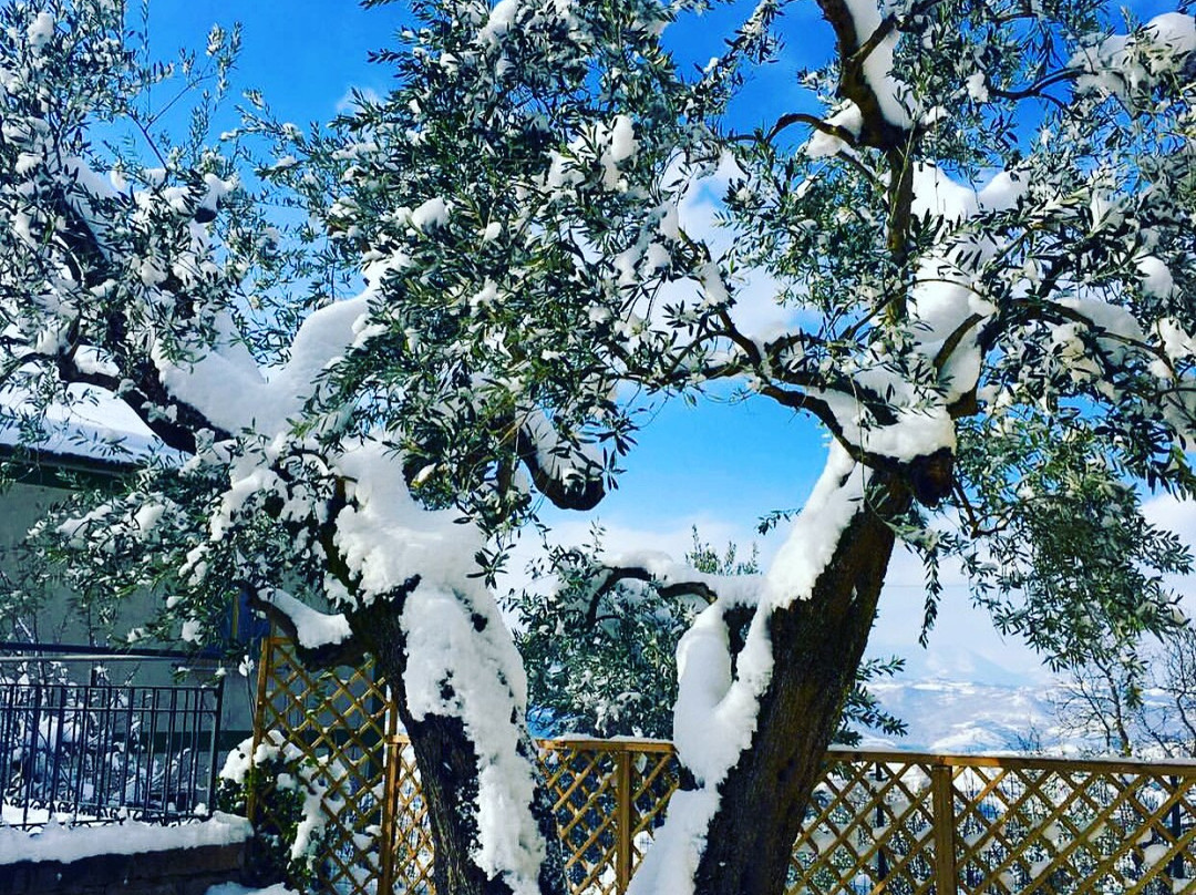 Riserva Masillo 1919