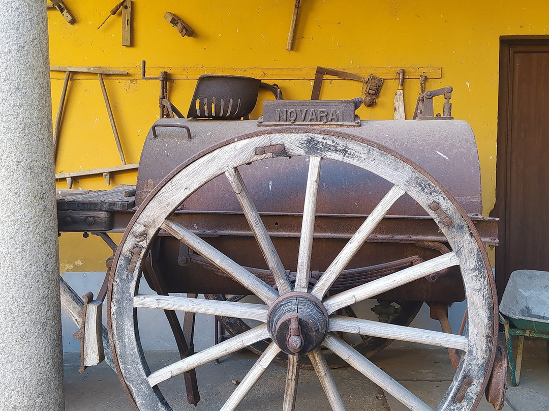 Villa Manzoni Ethnographic Museum Della Bassa Novarese