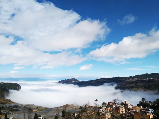 朵朵云阁餐厅主图