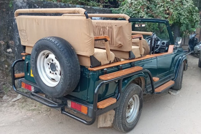 Ranthambore safari journeys-斋蒲尔必去景点