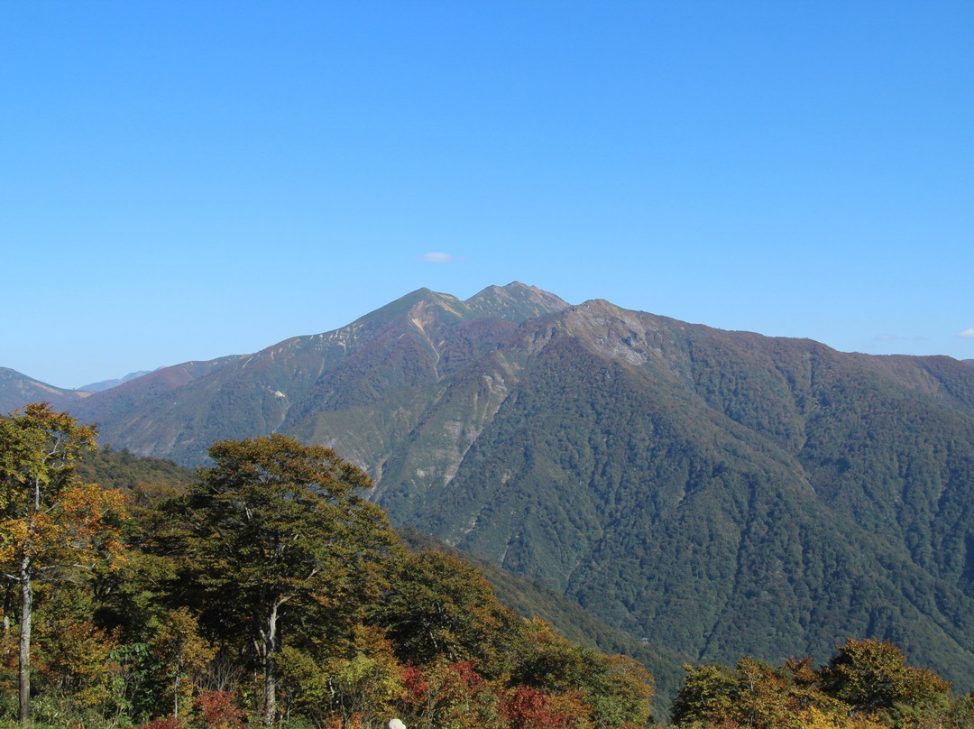 Tanigawadake Tenjindaira Ski Area景点图片