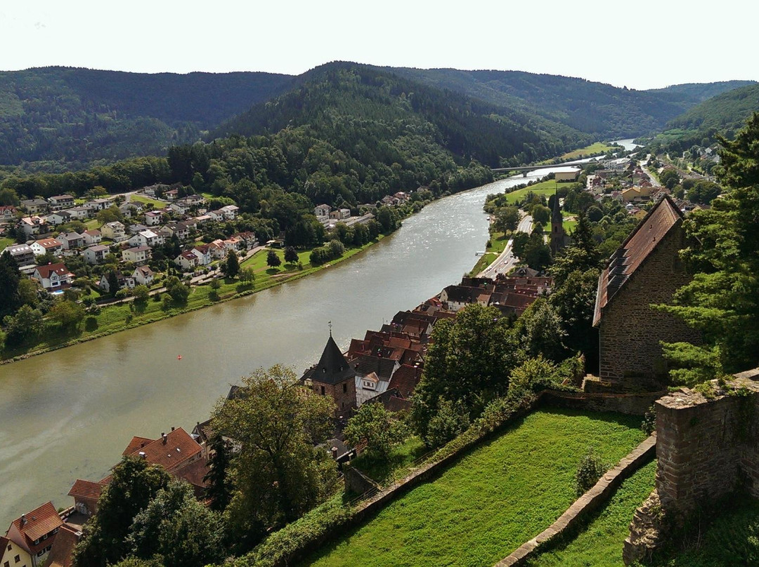 Hirschhorn (Neckar)旅游攻略图片