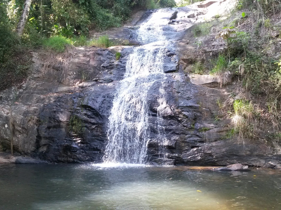 Floresta Nacional de Passa Quatro景点图片