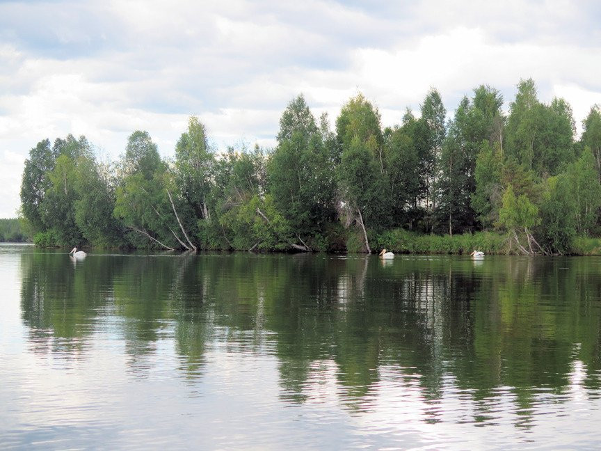 省立克罗斯湖公园-Flatbush必去景点