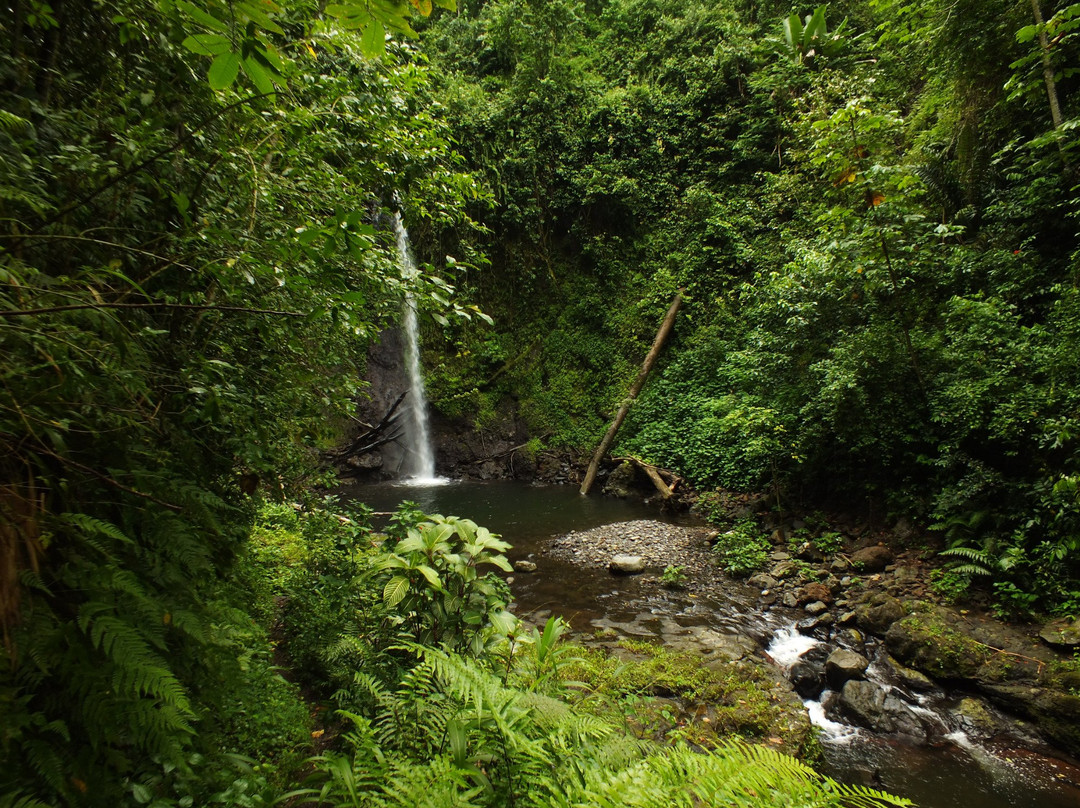 Bombaim Waterfalls景点图片