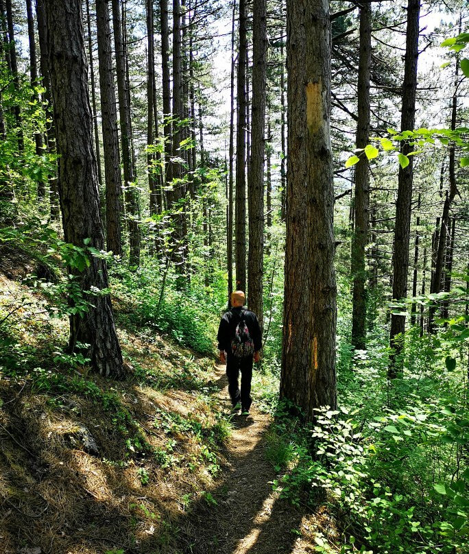 Ostrožac-Una valley hiking trail景点图片