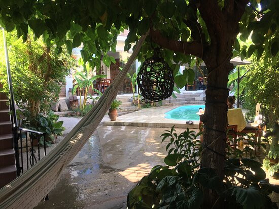 El Viejo Molino主图