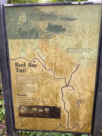 Reef Bay Trail景点图片
