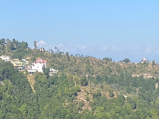 黑天兰花度假村主图