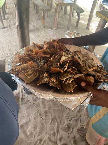 Hussein Tourist Guider-江比阿尼必去景点