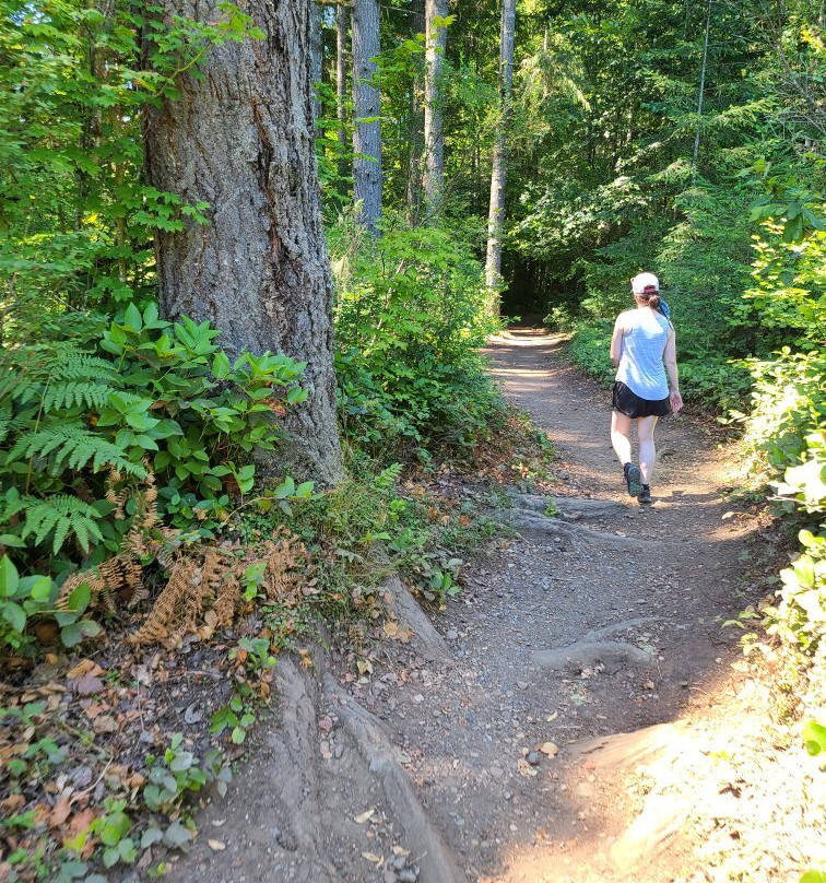 Mima Falls-Littlerock必去景点