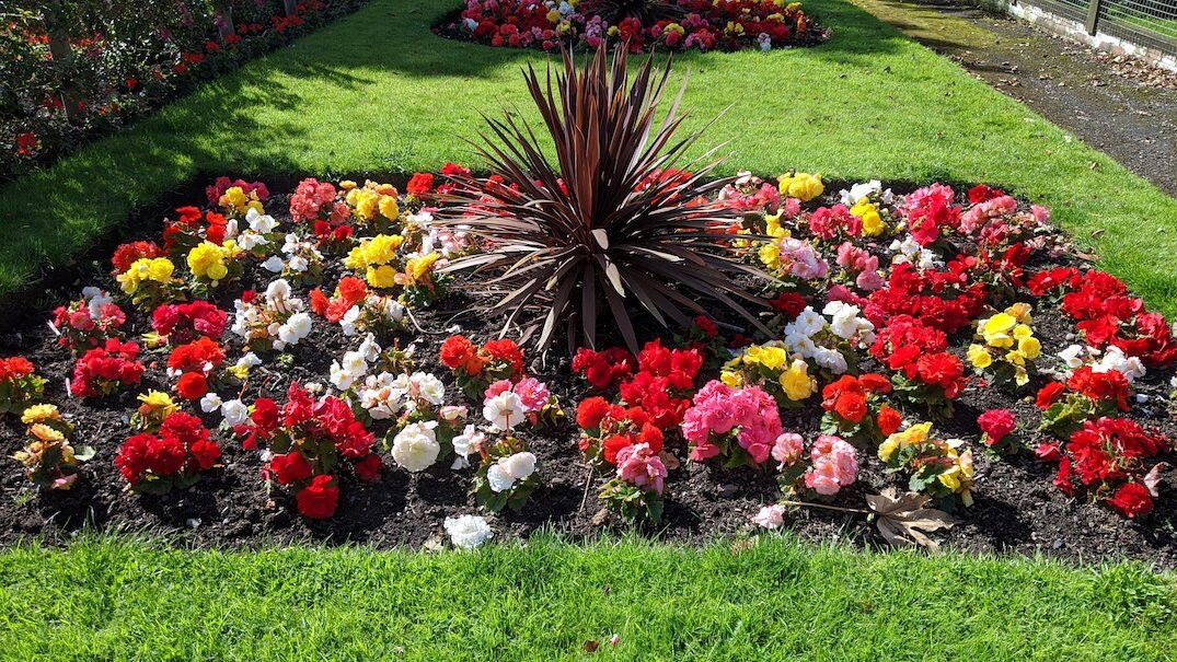 Girvan Community Garden