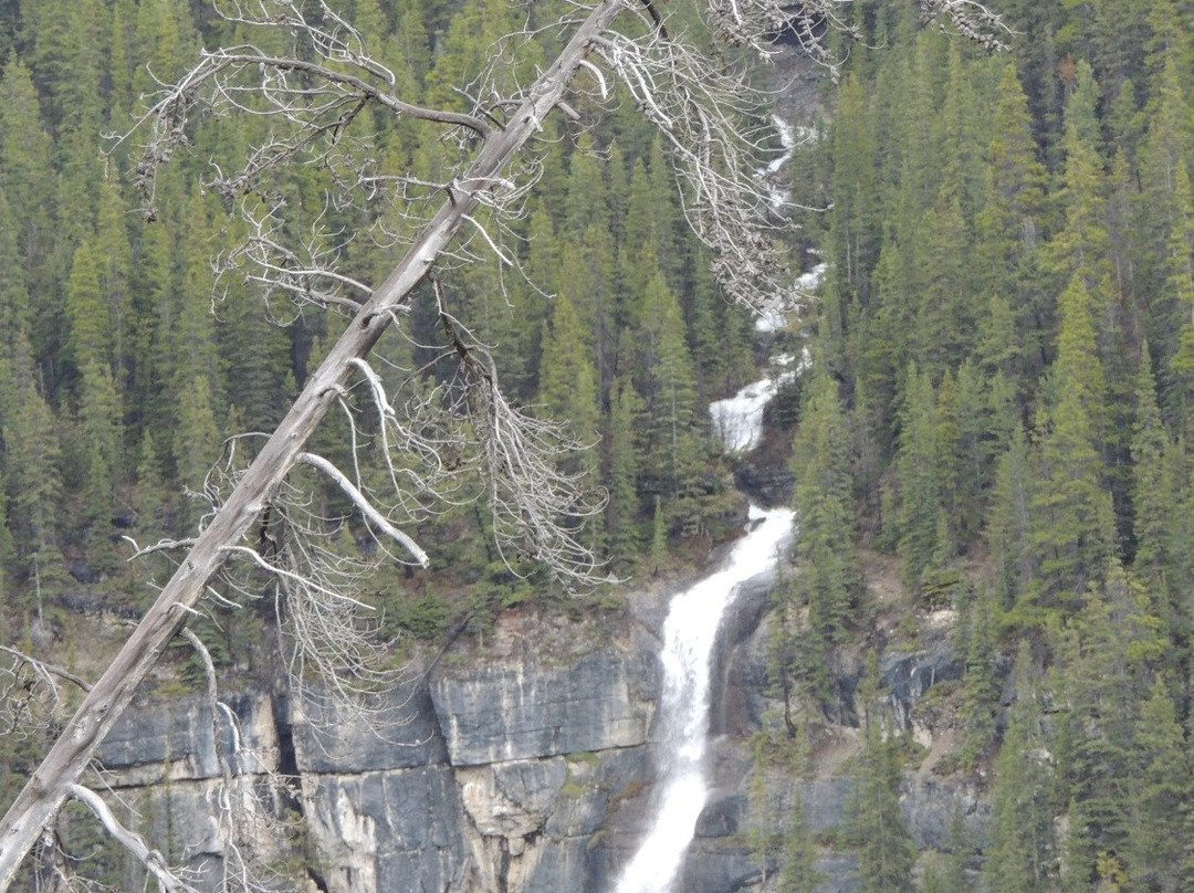 Sunwapta Pass-艾伯塔必去景点