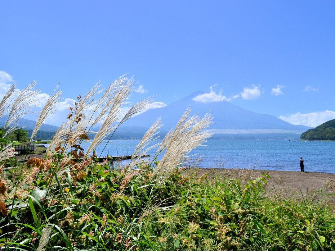 山中湖村旅游攻略图片