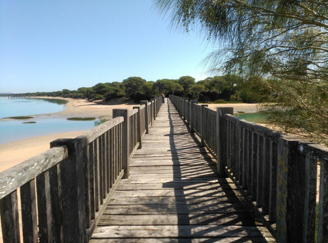 Puerto Real旅游攻略图片