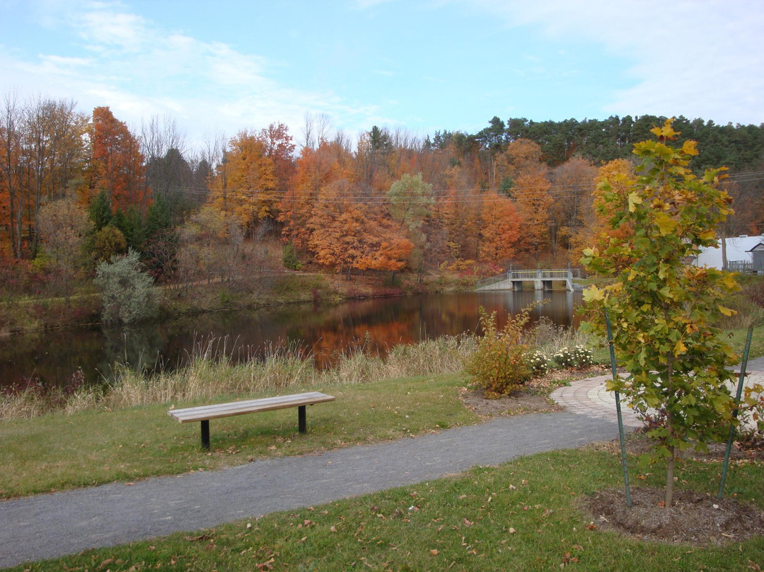 Warkworth Conservation Area景点图片