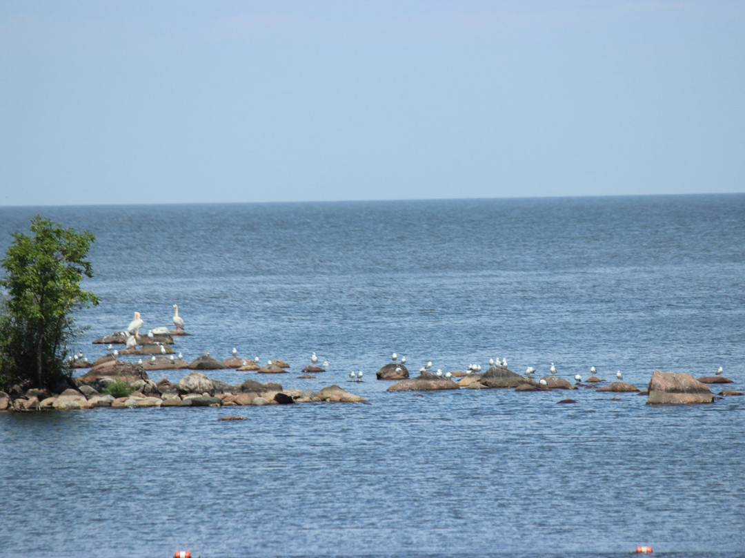 Grand Marais旅游攻略图片