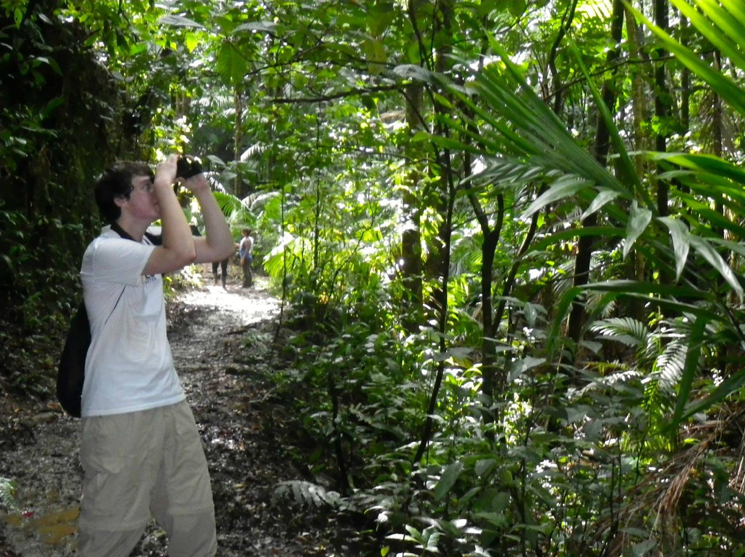 Unique Tours Tobago -Tours-斯卡伯勒必去景点