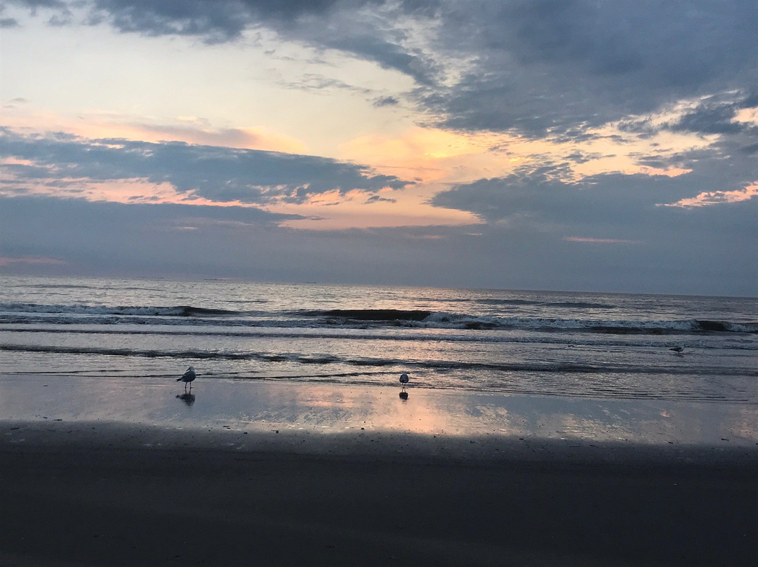Strandhuisjes Wijk aan Zee