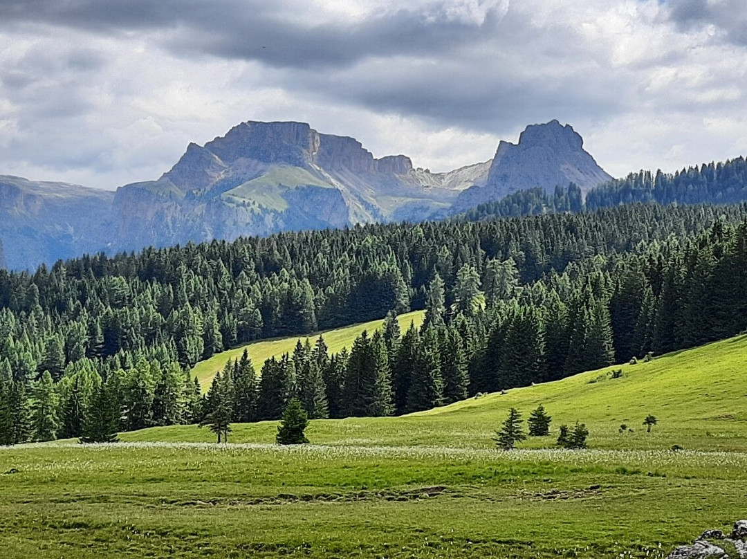 Sentiero d'avventura PanaRaida景点图片