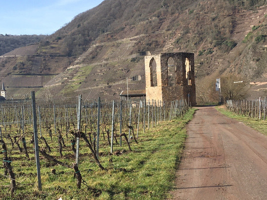 Neef旅游攻略图片