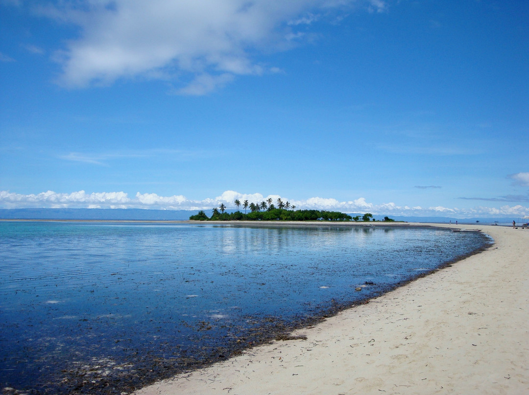 Balicasag Island旅游攻略图片