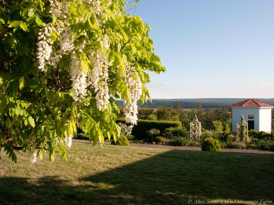 P. Allen Smith's Garden Home景点图片