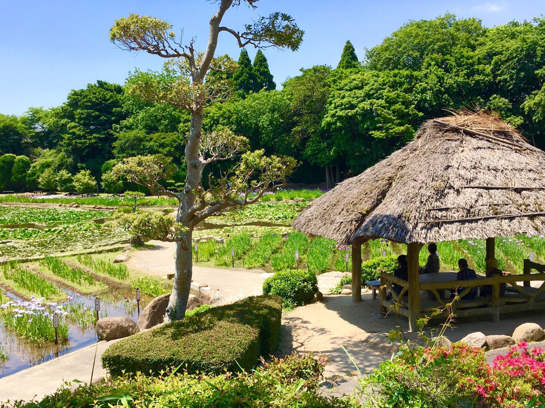 宇部市旅游景点-Tokiwa Park