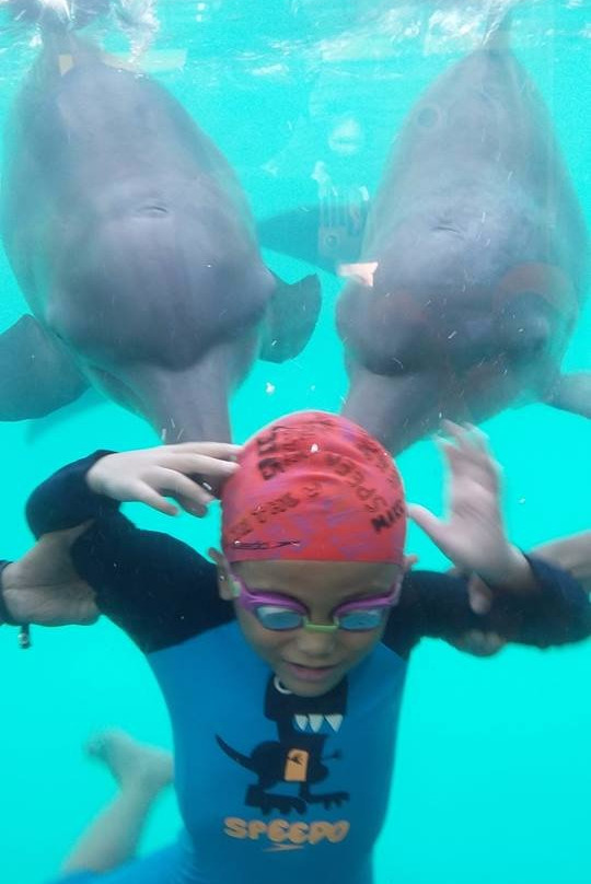 Batang Dolphin Center