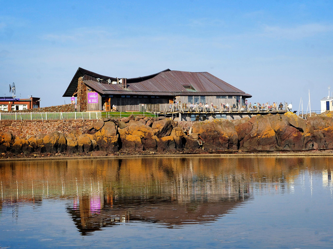 北柏威克旅游景点-Scottish Seabird Centre