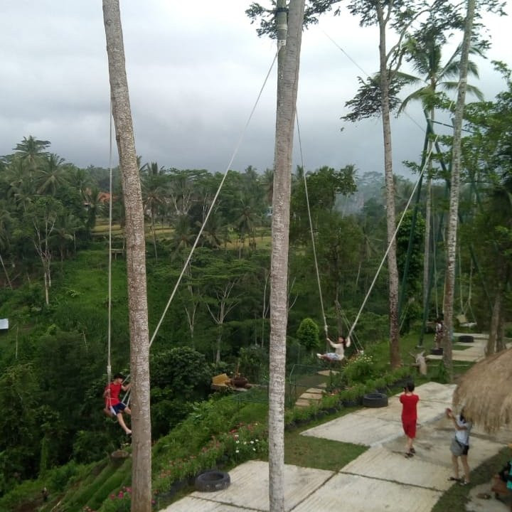 Partner Bali Tour-图班必去景点