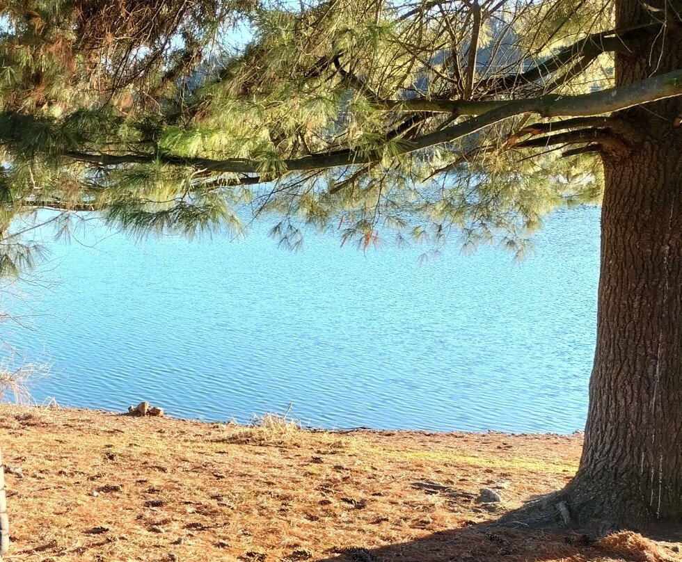 Lago di Bertignano景点图片