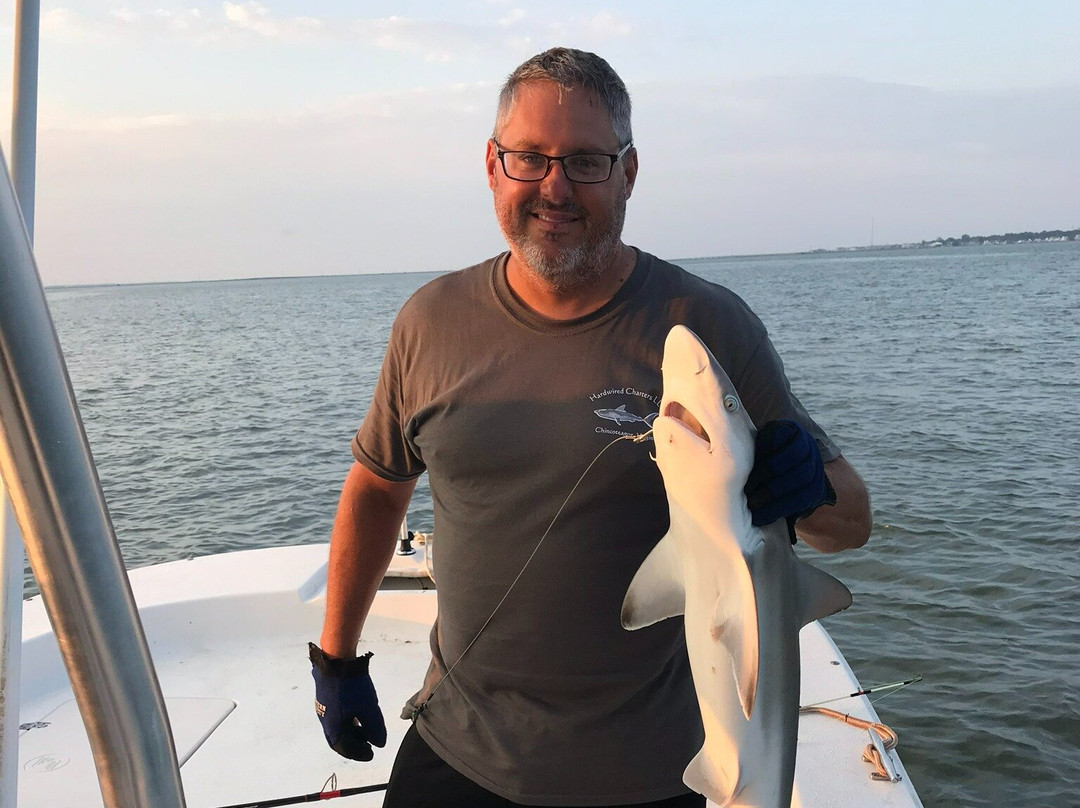 Up The Bay Pony Tours-钦科蒂格岛必去景点