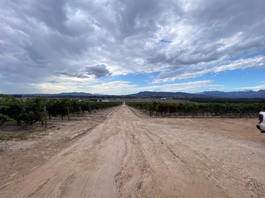 Arra Vineyards-Klapmuts必去景点